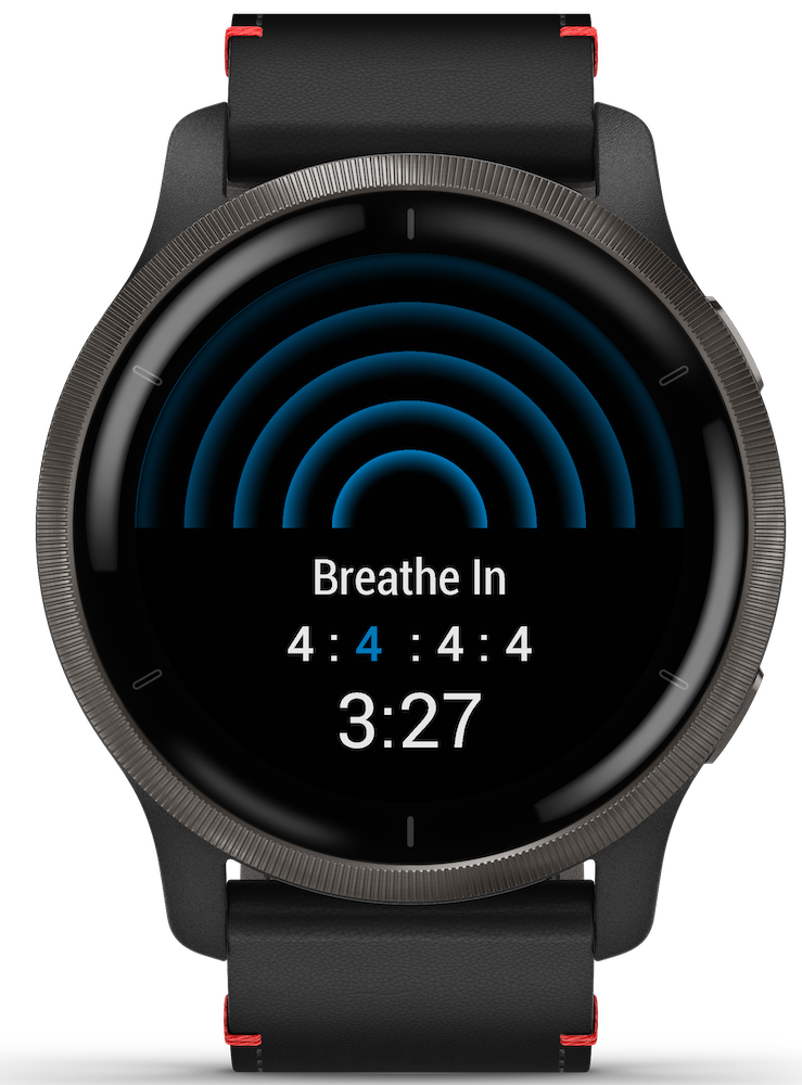 Venu 2 Smart Watch, 45mm - Slate/Black - 010-02430-21