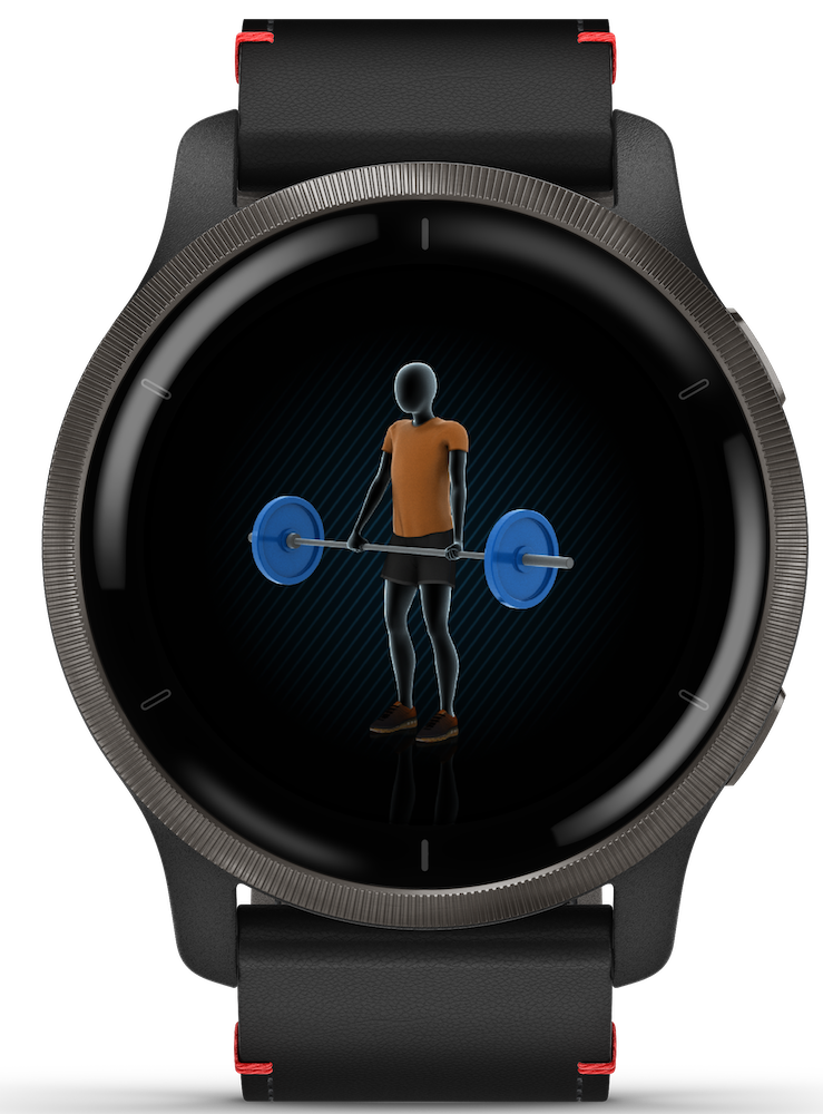 Venu 2 Smart Watch, 45mm - Slate/Black - 010-02430-21