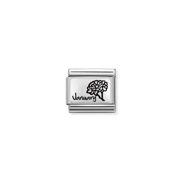 Composable Classic January Flower Link - Silver - 330112/13