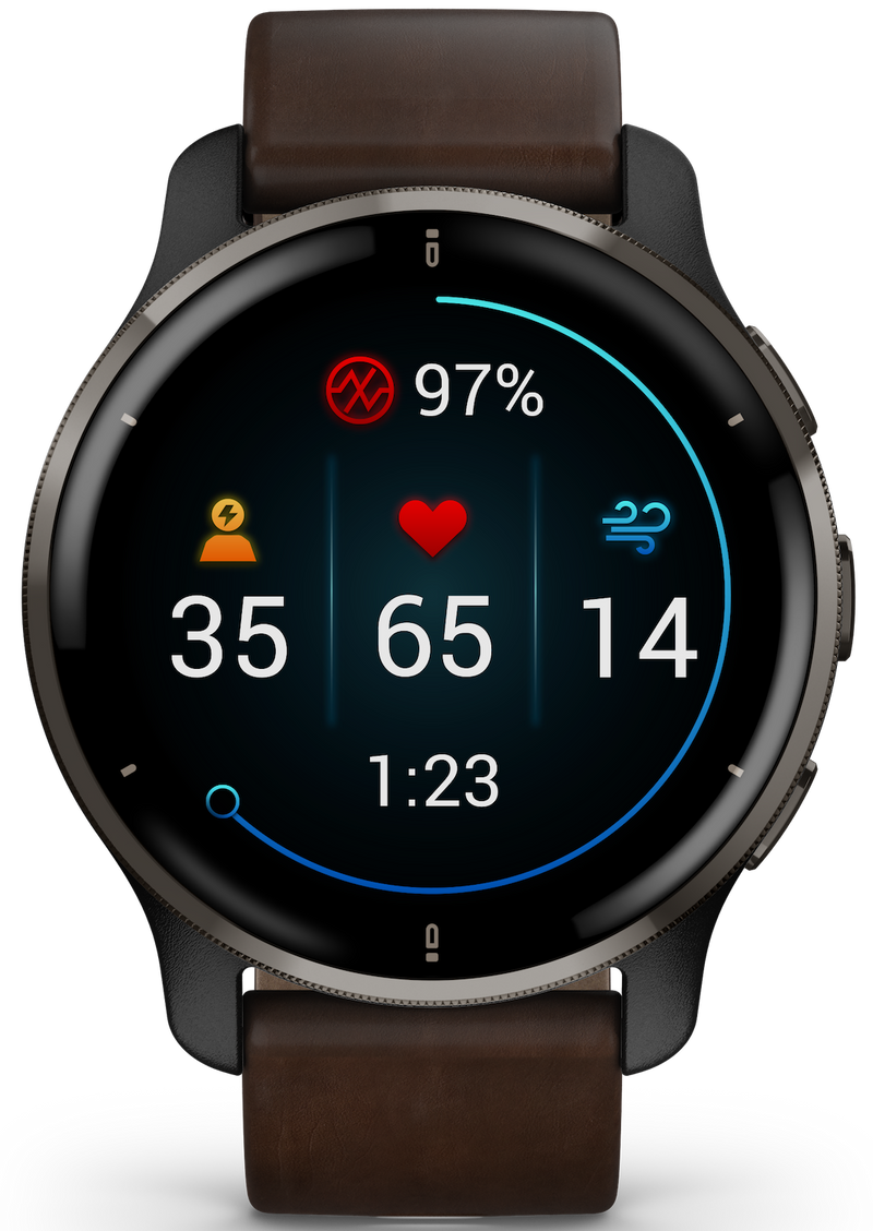 Venu 2 Plus Smart Watch, 43mm - Brown/Slate - 010-02496-15