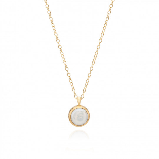 Small Coin Pearl Necklace - Gold - NK10319-GPL