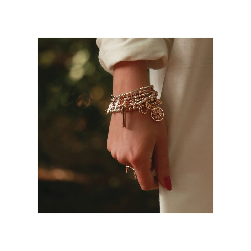 chlobo-double-devotion-set-of-2-bracelets-silver-rose-mbset572732