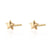 scream-pretty-faceted-star-stud-earrings-gold-spsegfss