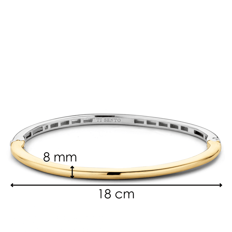 ti-sento-milano-plain-bangle-gold-silver-2889sy