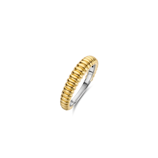 Milano Ribbed Ring - Gold - 12218SY