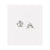 vivienne-westwood-ariella-earrings-silver-rhodium-62030011-w110-cn